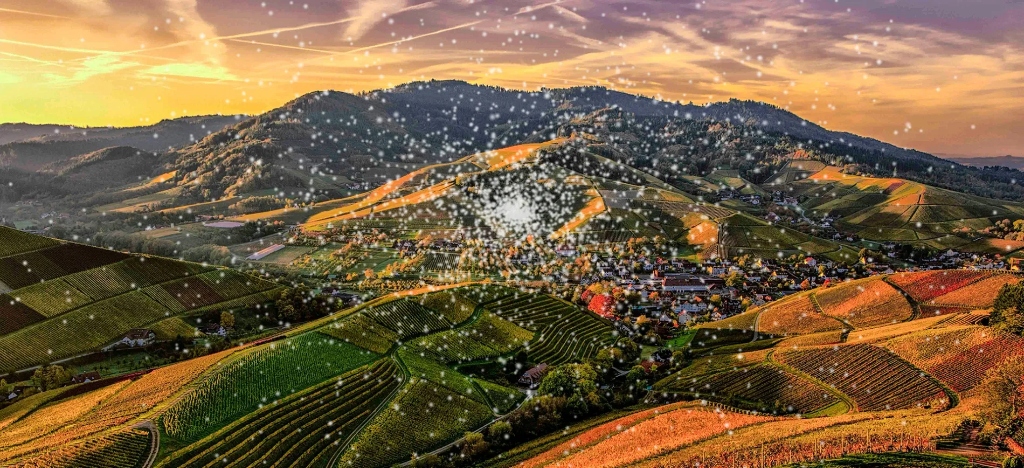 각막이상증 발현 후